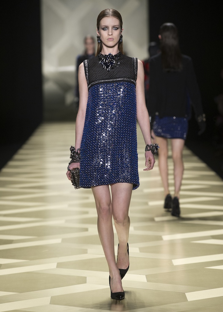 Roberto Cavalli FW1314_17